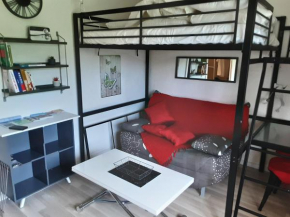 Studio sur les pistes